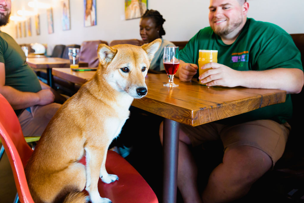 loyalty programs can include dogs too!