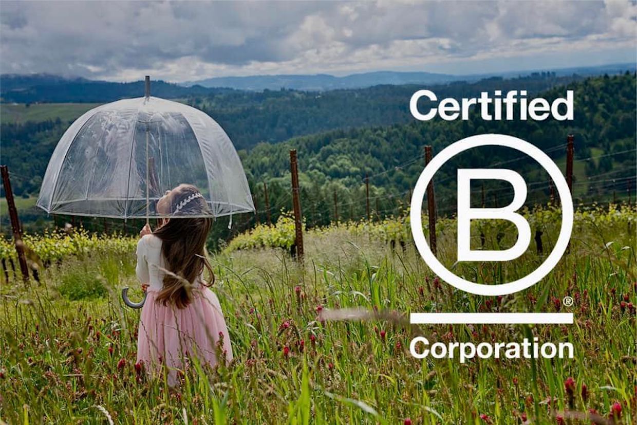 Little girl in grass field holding a clear umbrella, next to a Certified B Corporation overlay.