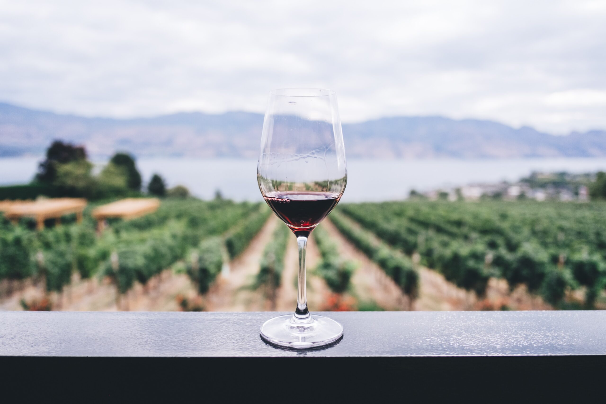 winery sustainability